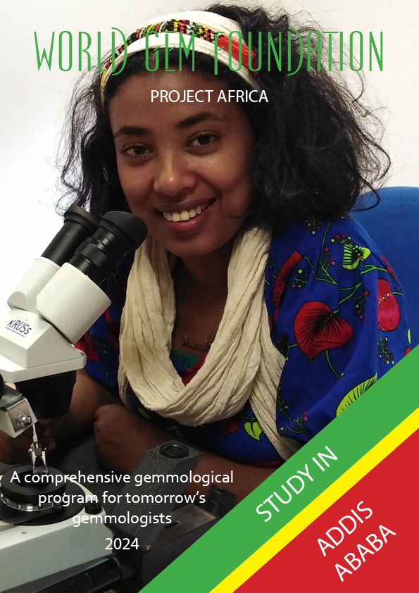 Project Africa Course Brochure