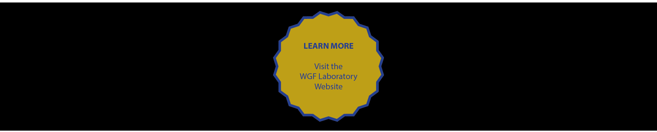 WGF Laboratory